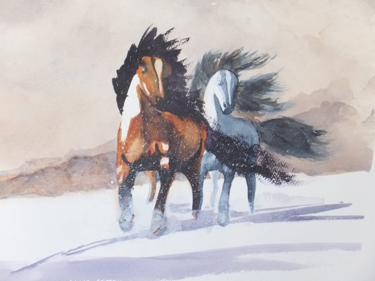 Photorealistic Animal Watercolour By David Harmer, 19 X 15, Windswept, Original Artwork