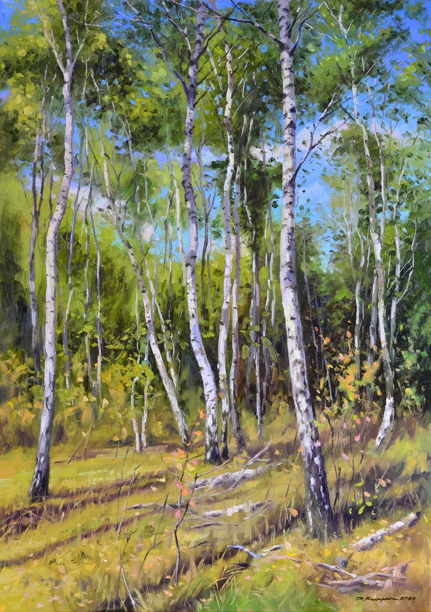 Birch grove by Ruslan Kiprych