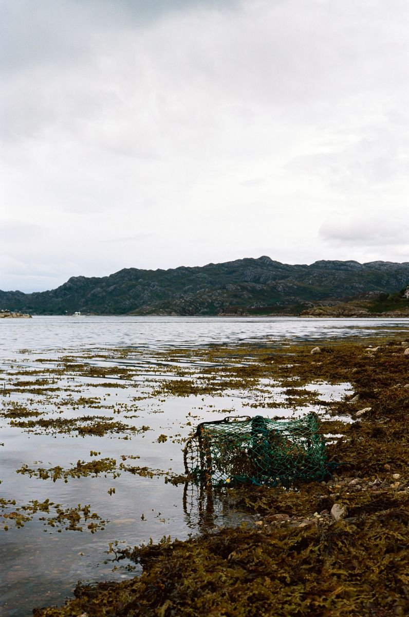 Shoreline (Loch Shieldaig) - Unmounted (24x16in) by Justice Hyde
