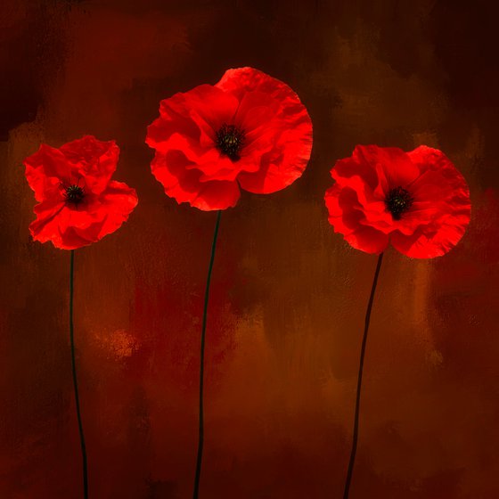 Poppies