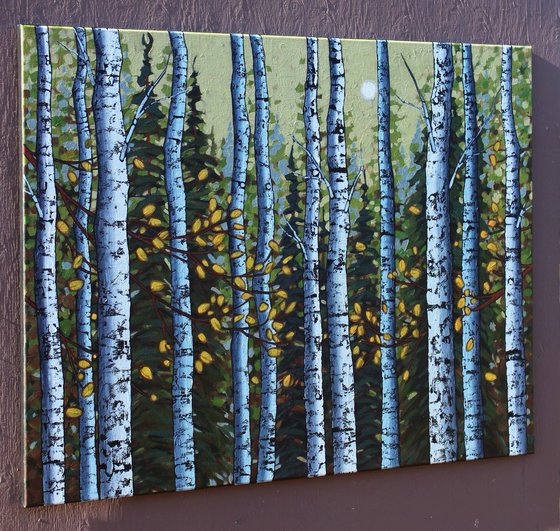 Autumn Birch Woods