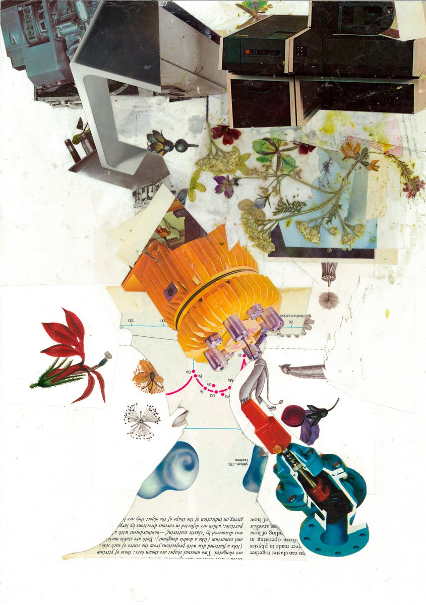 Botanical Collage By Benjamin West, 10 X 14, State Of Nature, Original Artwork