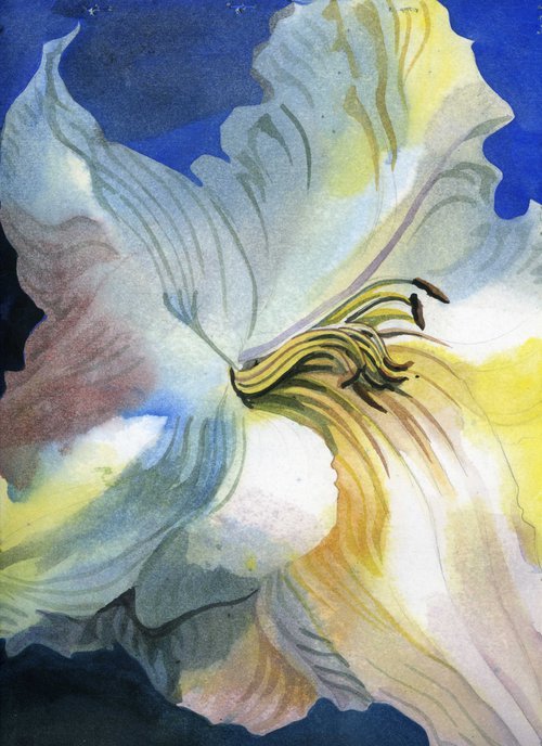 lily in blues watercolor floral by Alfred  Ng