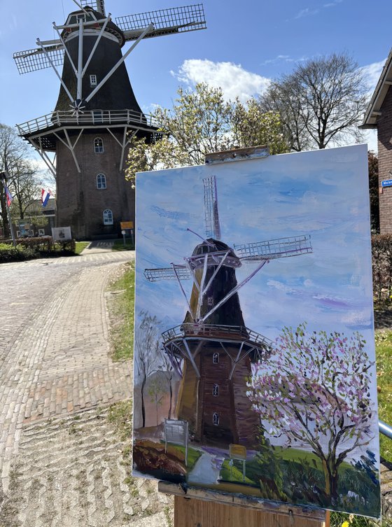 Magnolia and Historic Windmill