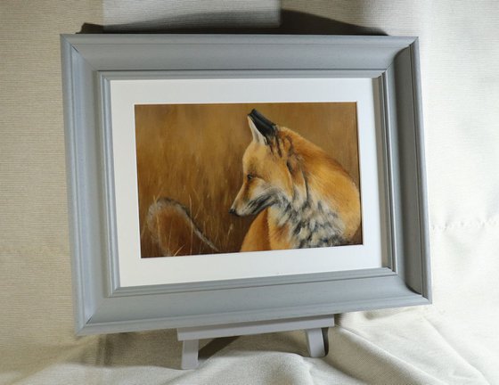 'In long Grass', Fox Painting, Framed and Ready to Hang