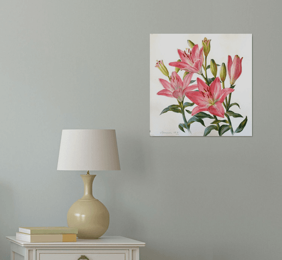 Pink lilies