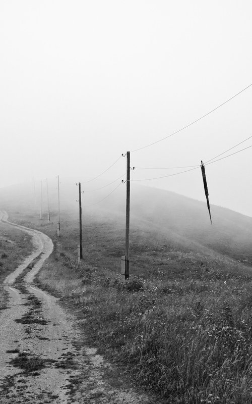 Into the Mist by Vlad Durniev