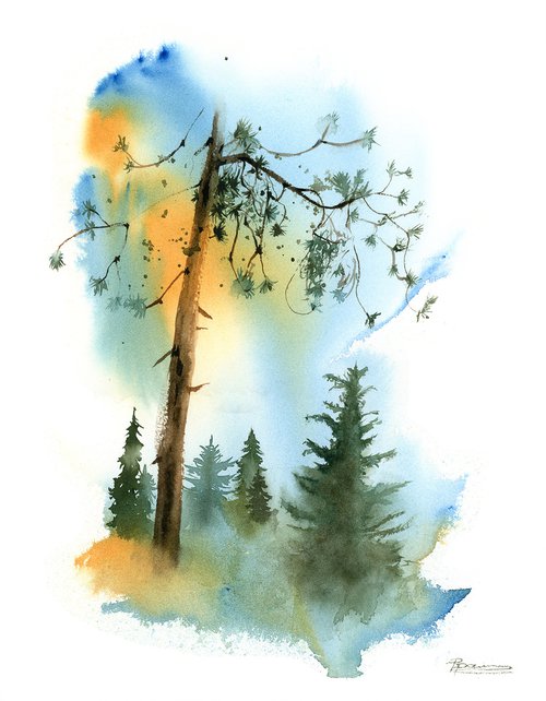 Coniferous forest landscape sketch by Olga Shefranov (Tchefranov)
