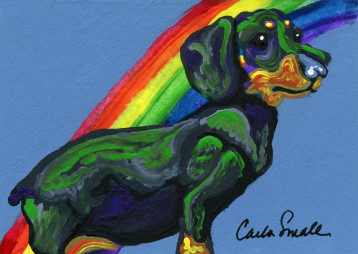 Rainbow Dachshund by Carla Smale