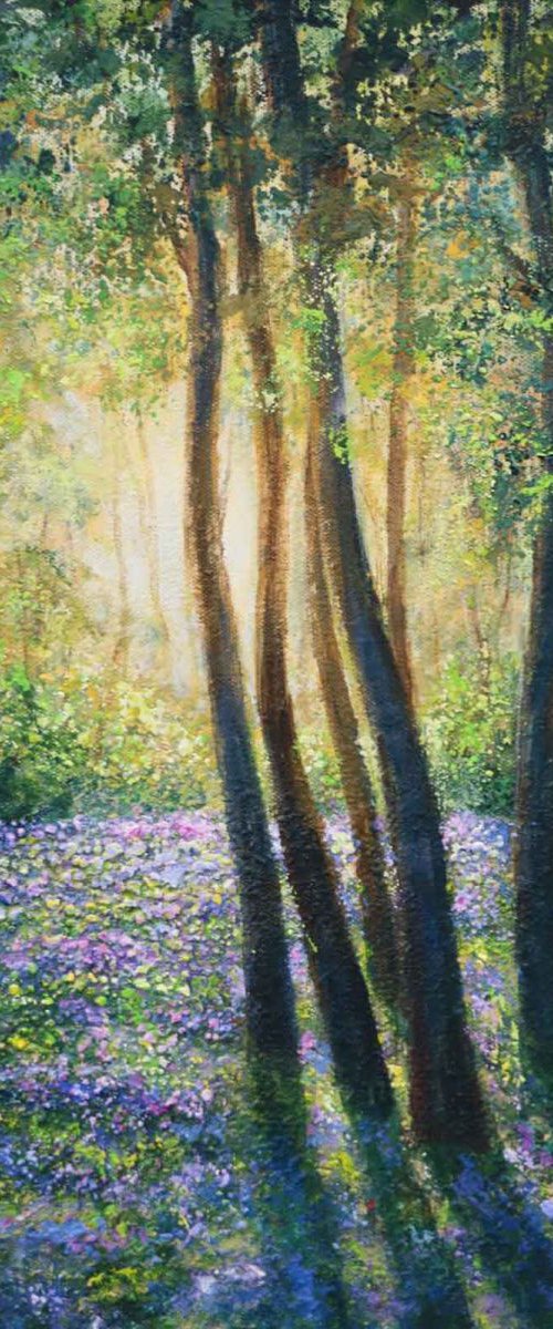 Bluebell wood by Ruth  Aslett