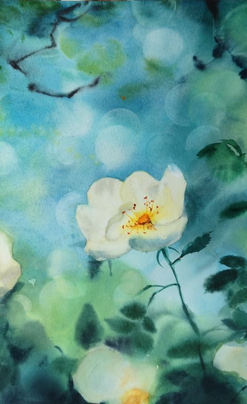 White Rosehip Bush by Olga Beliaeva Watercolour