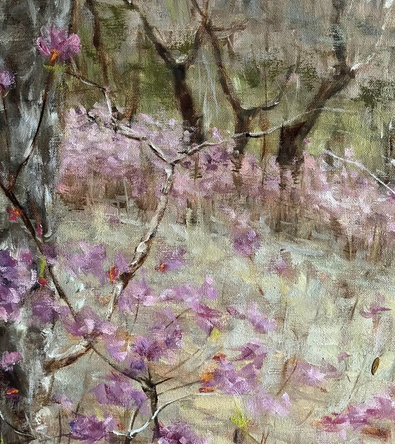 SPRING IN THE FOREST