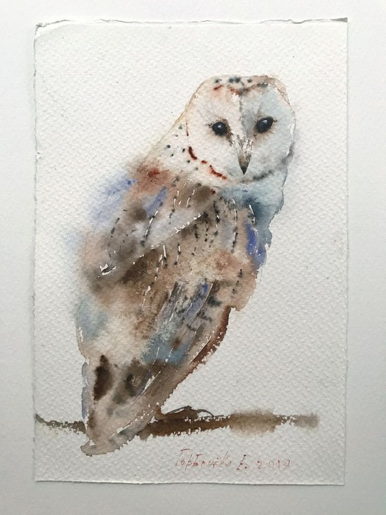 Owl on a branch - 19 x 28 cm