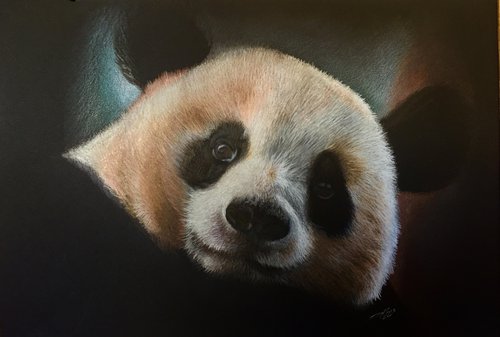 Panda by Evgen Karpenko