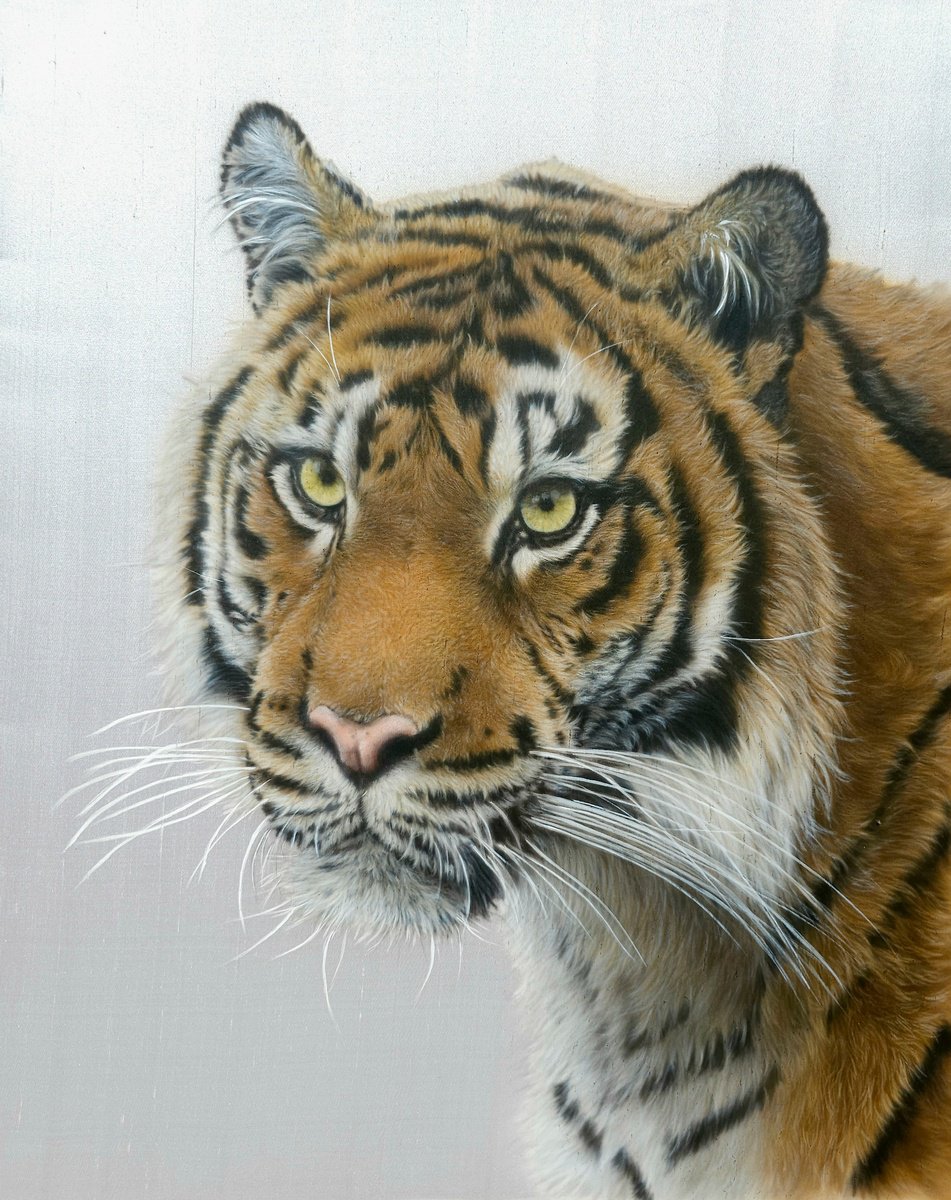Photorealistic Animal Painting By Olga Belova, 20 X 26", Glimmering Gaze, Original Artwork