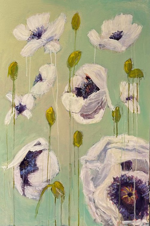 White poppies in a field by Leah Kohlenberg