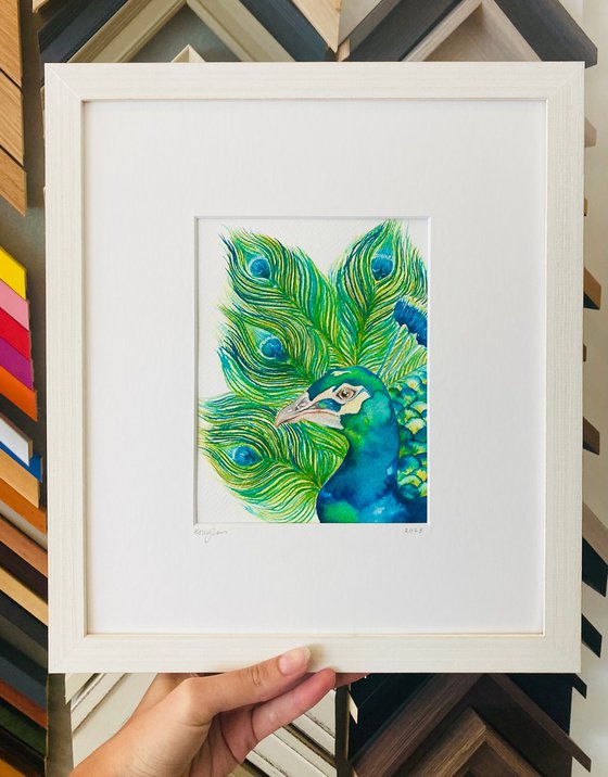 Peacock Watercolour Painting