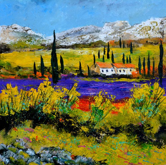 Lavender in Provence  - 88
