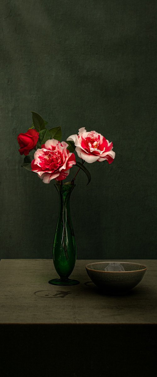 Greta's Camellias II by Cornelia Weber