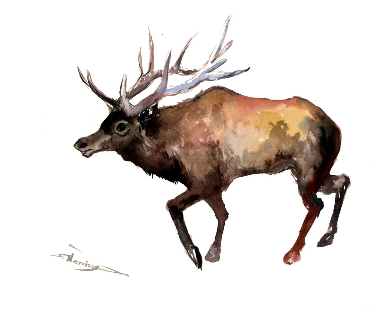 White-tailed Deer by Suren Nersisyan