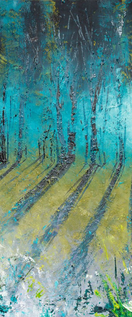 Early morning hoare frost by Paul Hillary
