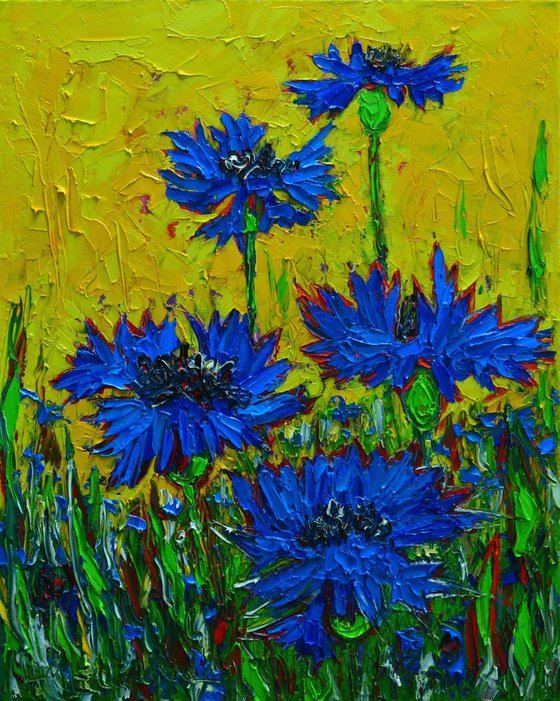 Wild blue cornflowers in sunlight