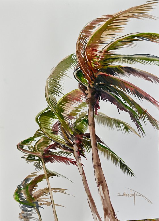 Wind on Tropical Islan, Coconut Palm Trees