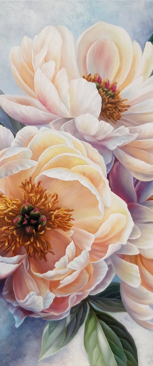 Beauty of peonies by Anna Steshenko