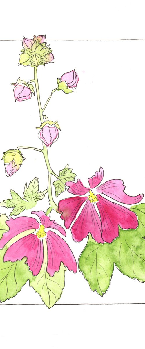 Flowers original watercolor - Mallows illustration - Floral mixed media drawing (2021) by Olga Ivanova