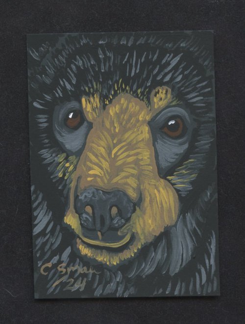 Black Bear by Carla Smale