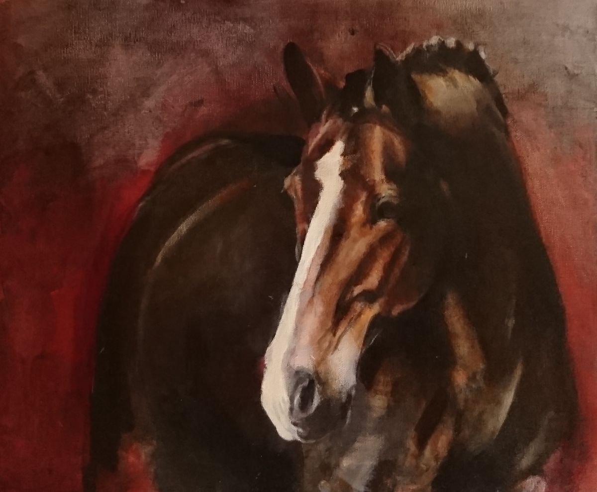 CHANCE -horse portrait - by Karen Sloan