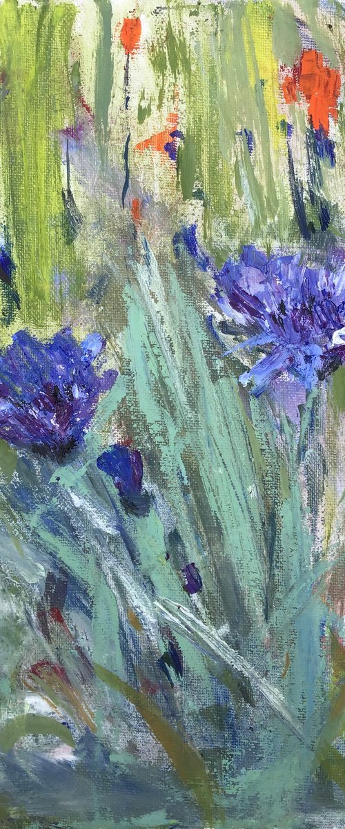 Cornflowers Study 2 by Sandra Haney