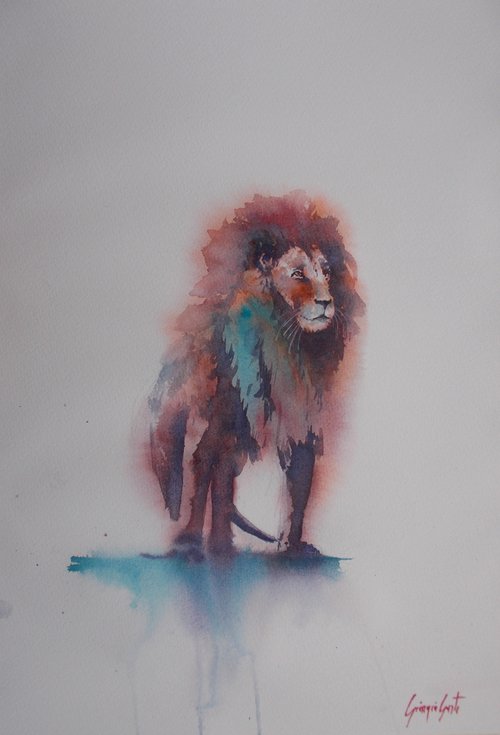lion 6 by Giorgio Gosti