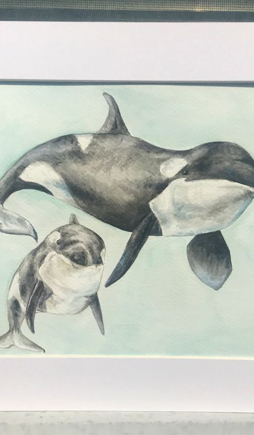 Orca Killer Whale Original Watercolor by Lauren Rogoff