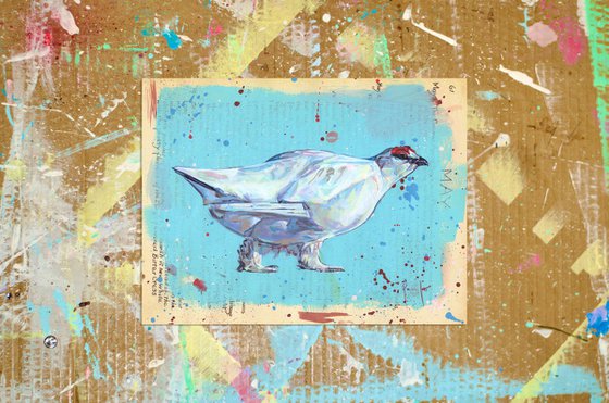 Rock Ptarmigan