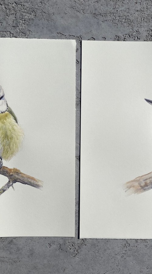 Nuthatch & Blue Tit (Set of 2) by Tetiana Savchenko