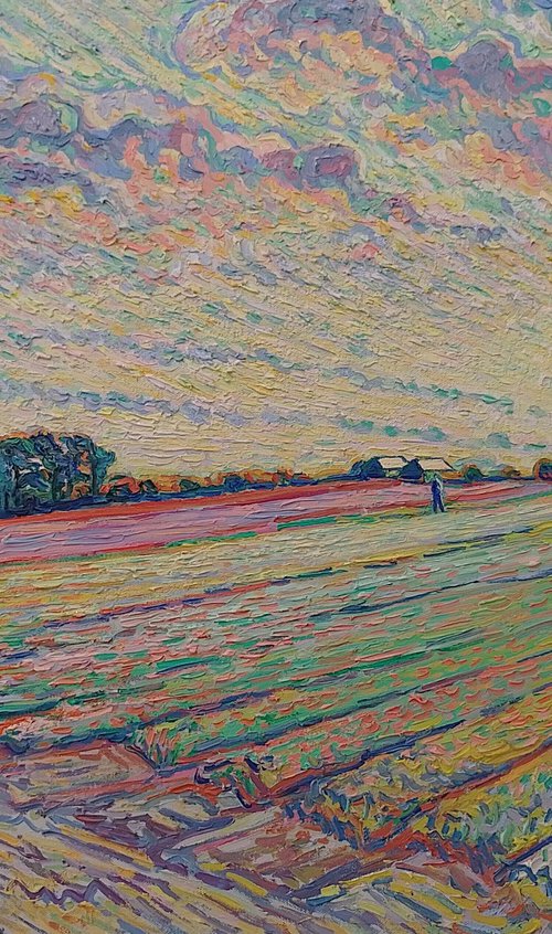Tulip field sunset by Nigel Dickerson