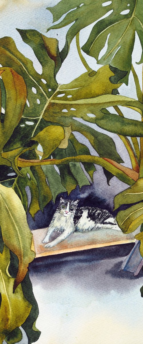Сat and monstera leaves by Delnara El