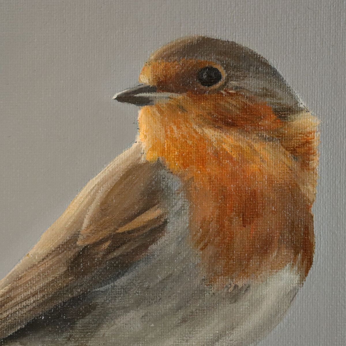 robin painting for sale