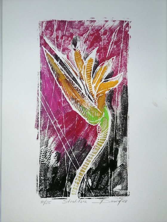 bird of paradise flower - Monotype 10