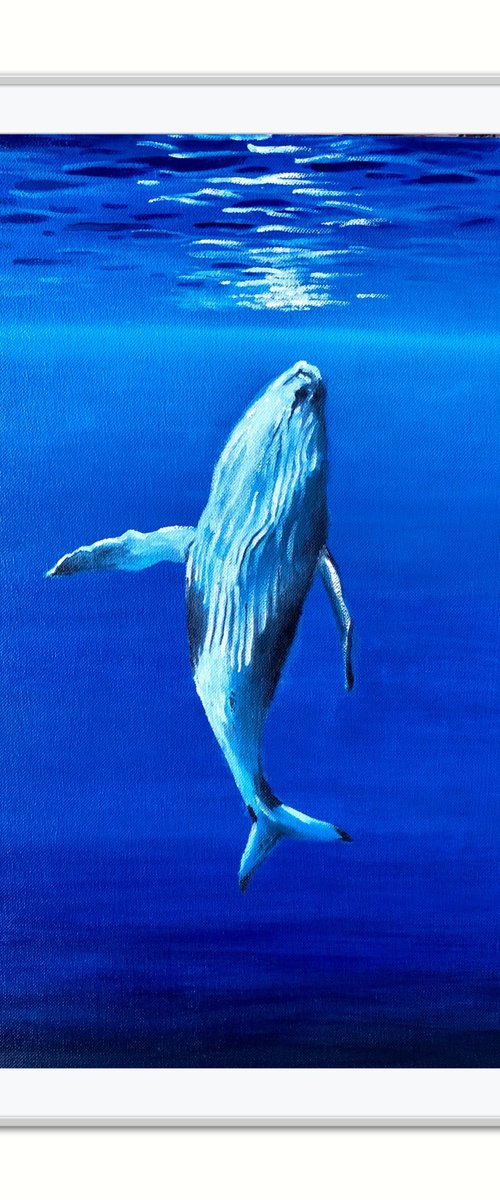 Whale in blue ocean by Volodymyr Smoliak