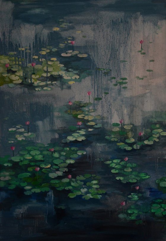 Lily pond. Petrichor