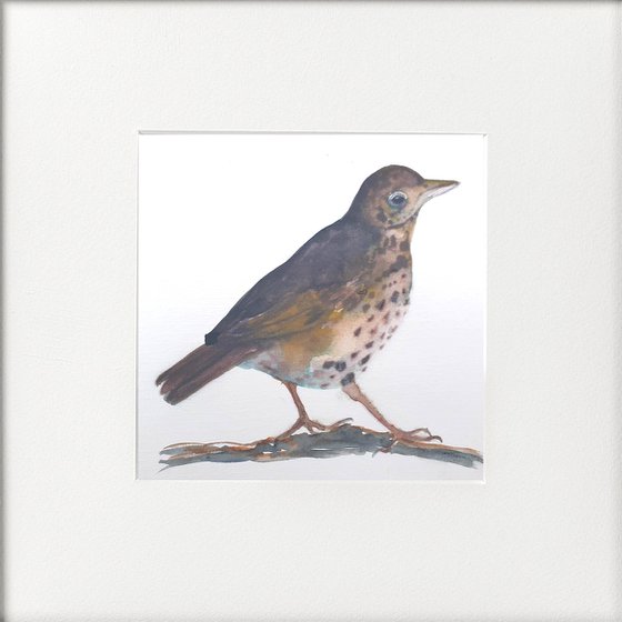 One Thrush