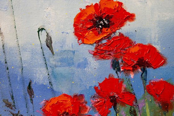 Red flowers , poppies