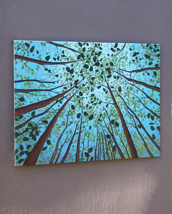 Canopy