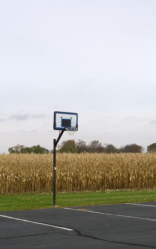 La Grange by Robert Tolchin