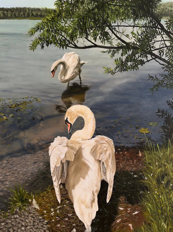 Swans at the Lake (50x40 cm)