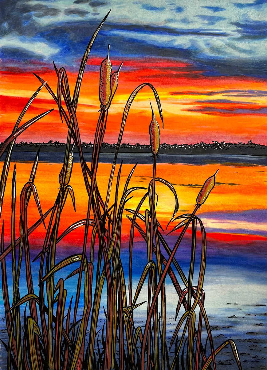 Illustrative Painting , Fiery Marsh Sunset By Karen Elaine Evans, 12 X 17, Artwork For Sale On Artfinder