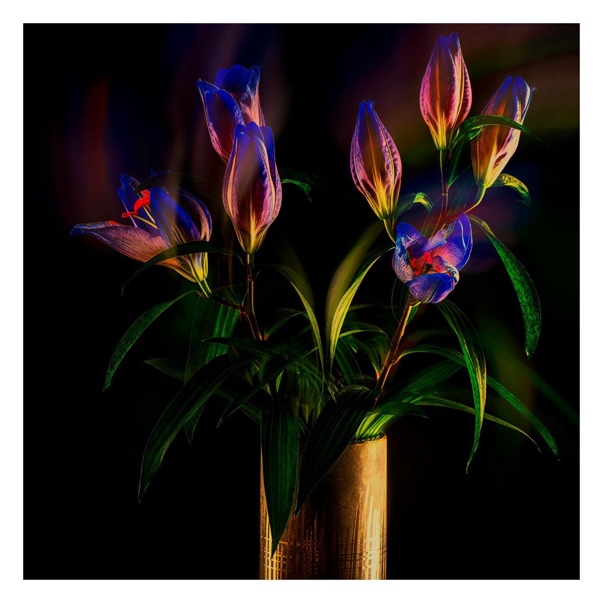 Lillies In The Golden Hour #2/10 Limited Edition Photographic Print by Graham Briggs