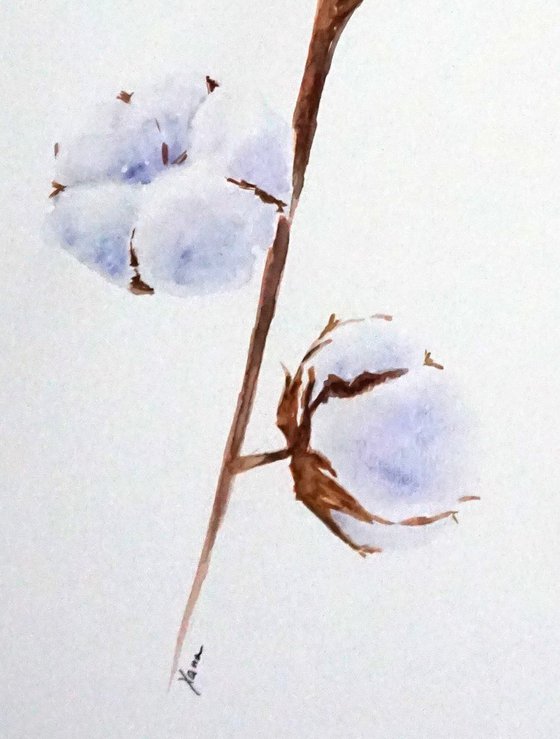 Cotton Flower ORIGINAL Watercolor Painting - Aquarelle Cotton Balls - Floral Artwork - Cotton Branch - White Flowers Natural Home Wall Decor